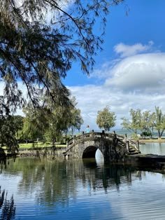 This may contain: a bridge over a body of water with people standing on top of it and trees in the background