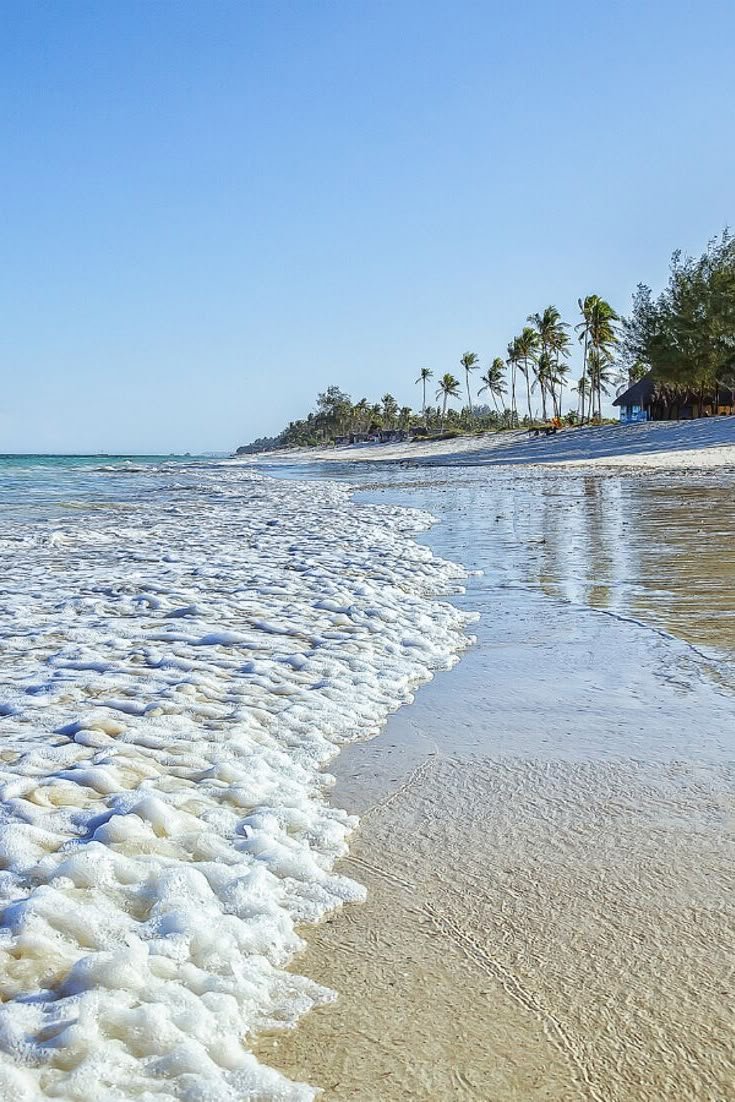 This may contain: the beach is covered in foamy water and has palm trees on either side of it