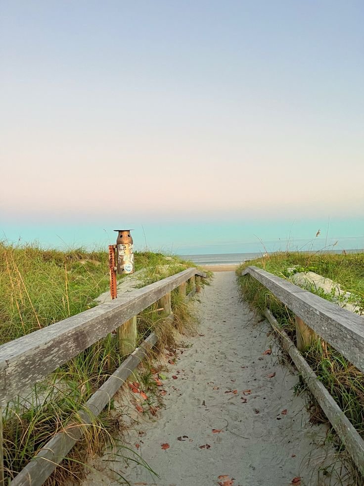 This may contain: the path to the beach is lined with grass