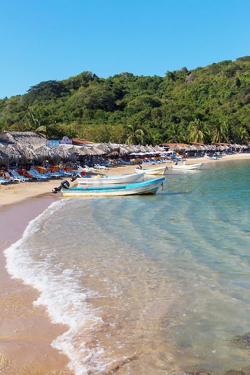 This may contain: several boats on the beach with umbrellas and trees in the background