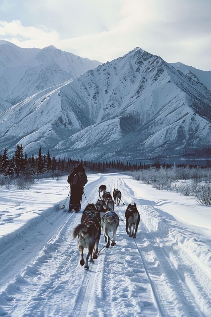This may contain: a dog sled team traveling down a snow covered road with mountains in the background