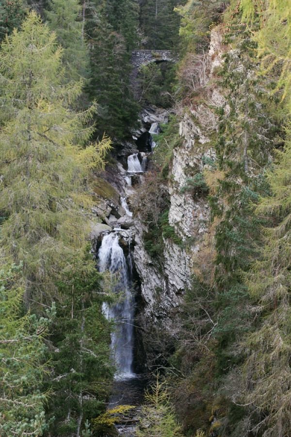 This may contain: a waterfall in the middle of a forest with lots of trees on either side of it