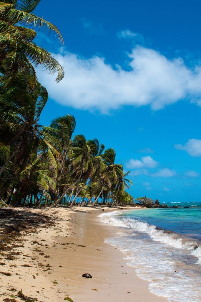 This may contain: the beach is lined with palm trees and blue water