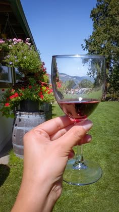 This may contain: a hand holding a wine glass in front of a house with flowers on the lawn