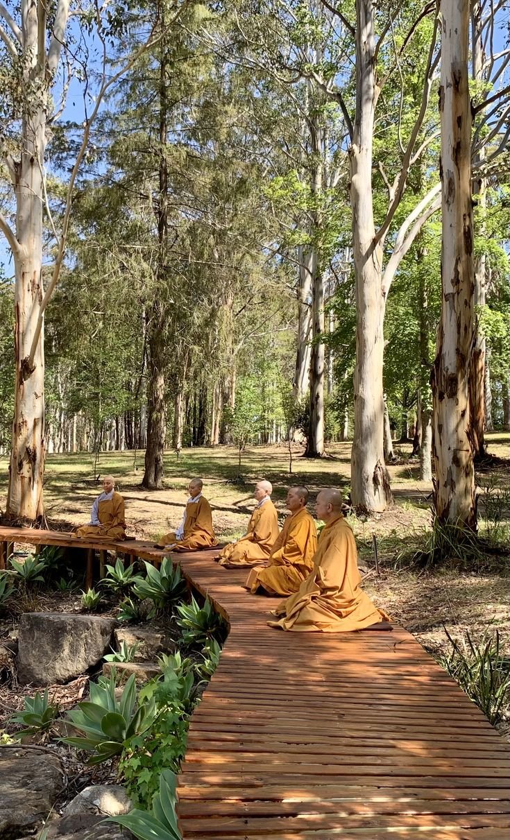 This may contain: two monks sitting on a wooden bridge in the woods