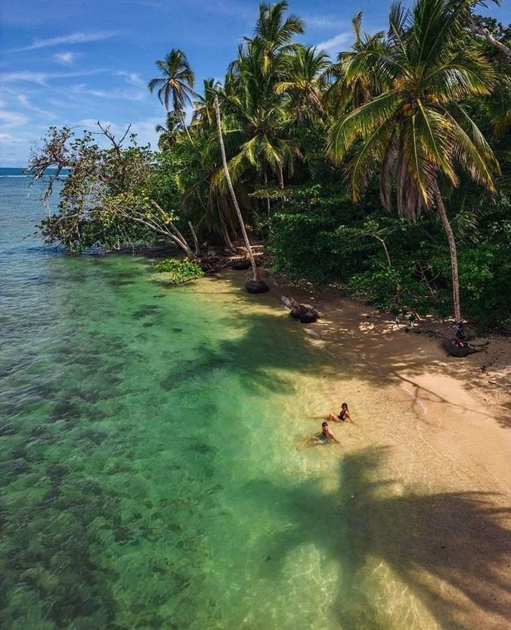 This may contain: two people are swimming in the clear blue water near some palm trees and beach chairs