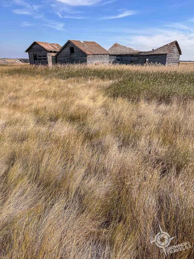 This contains: Abandoned outbuildings near Bents, Saskatchewan
