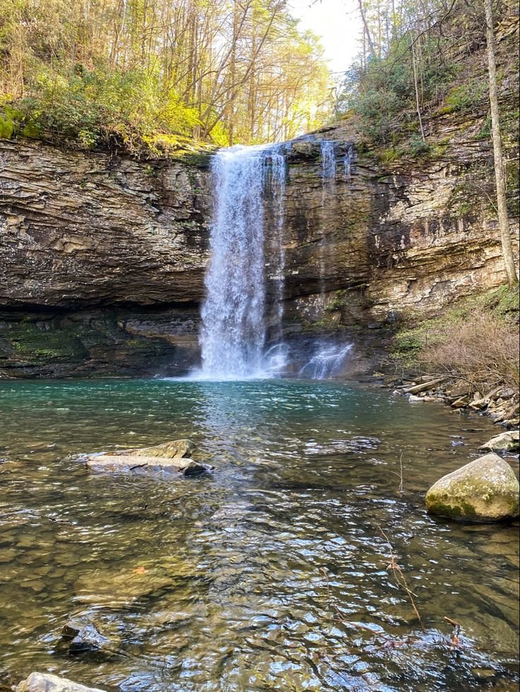 This may contain: a large waterfall in the middle of a forest