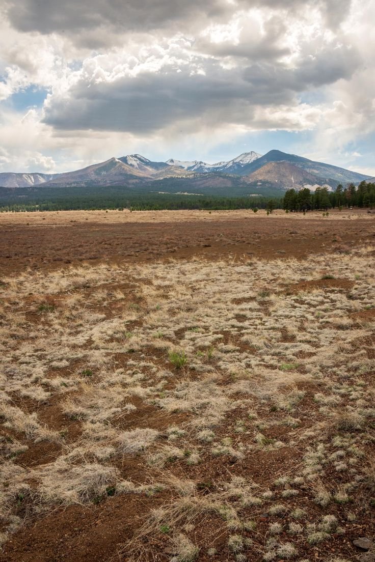 This may contain: an empty field with mountains in the background
