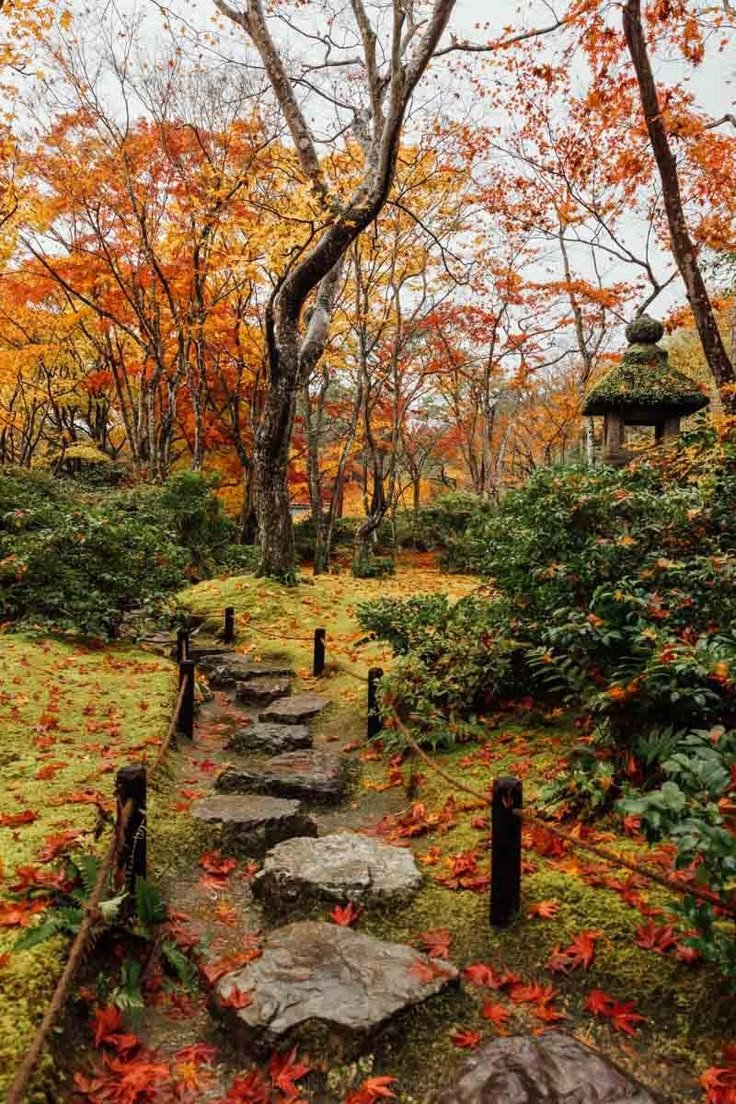 This may contain: a stone path in the middle of a forest surrounded by trees with orange leaves on it