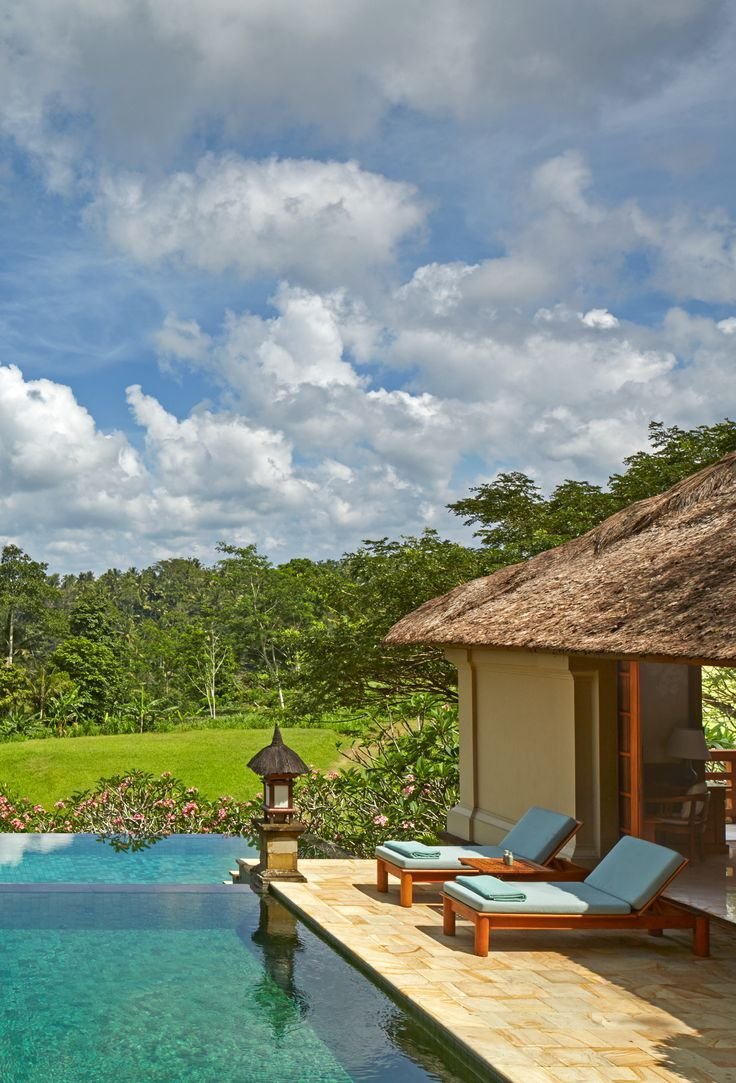 This may contain: an outdoor swimming pool with chaise lounges and thatched roof gazebo in the background