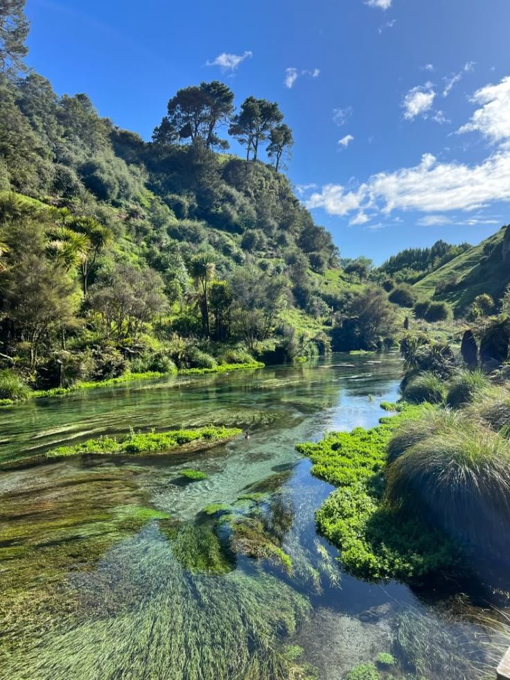 This may contain: a river running through a lush green forest filled with lots of trees and grass covered hillsides