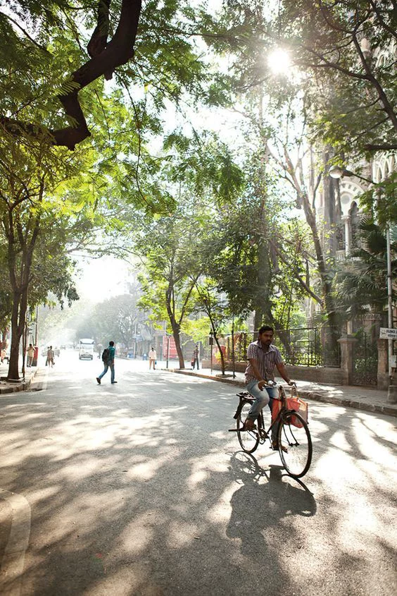 This may contain: a man riding a bike down a tree lined street