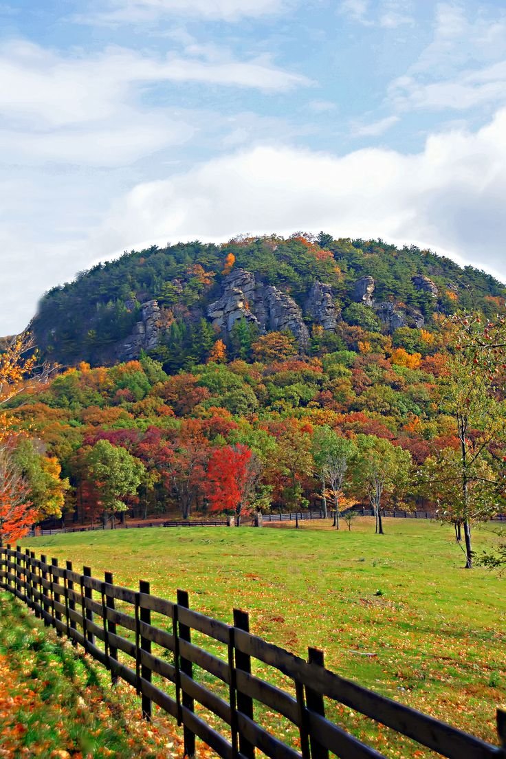 This may contain: a wooden fence is in front of a grassy field with trees and mountains behind it