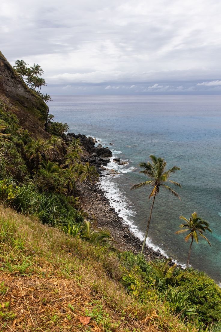This may contain: an ocean view with palm trees on the shore