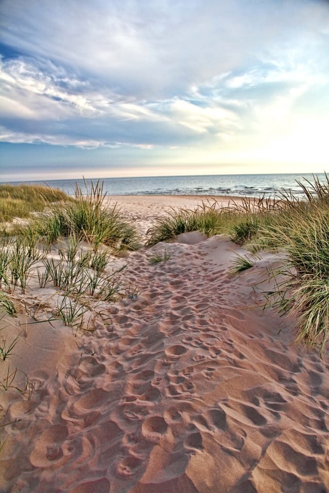 This may contain: a sandy path leading to the beach with grass and sand dunes in the foreground