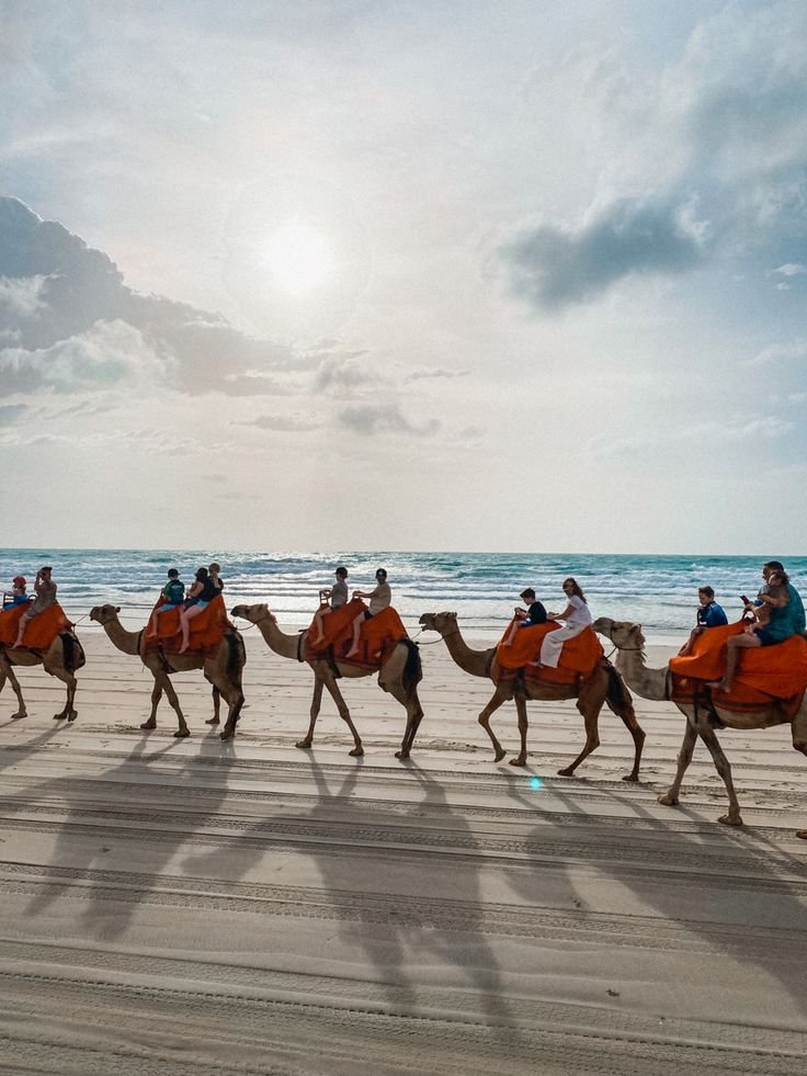 This may contain: a group of people riding on the backs of camels down a beach next to the ocean