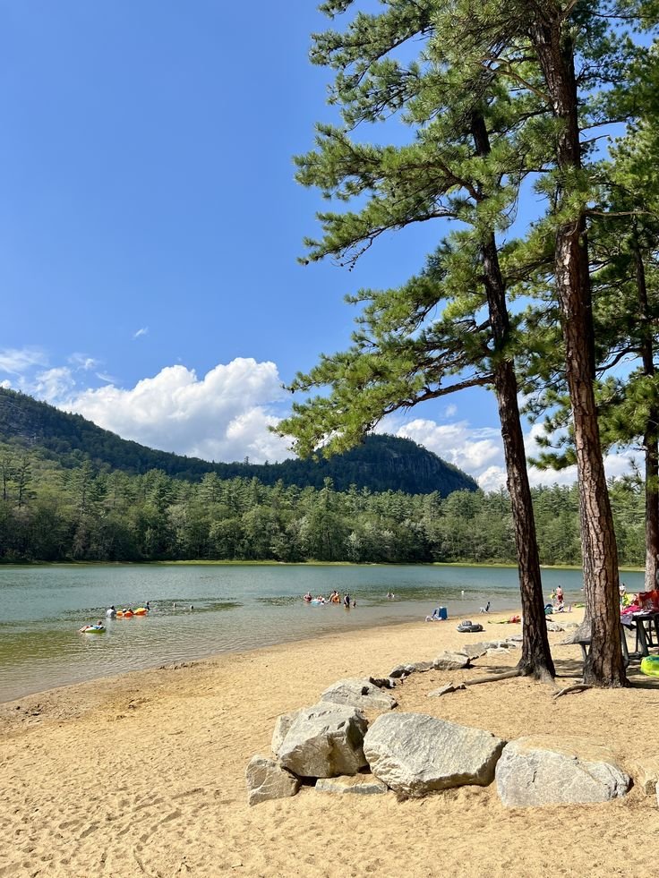 This may contain: people are on the beach near some trees and water with mountains in the back ground