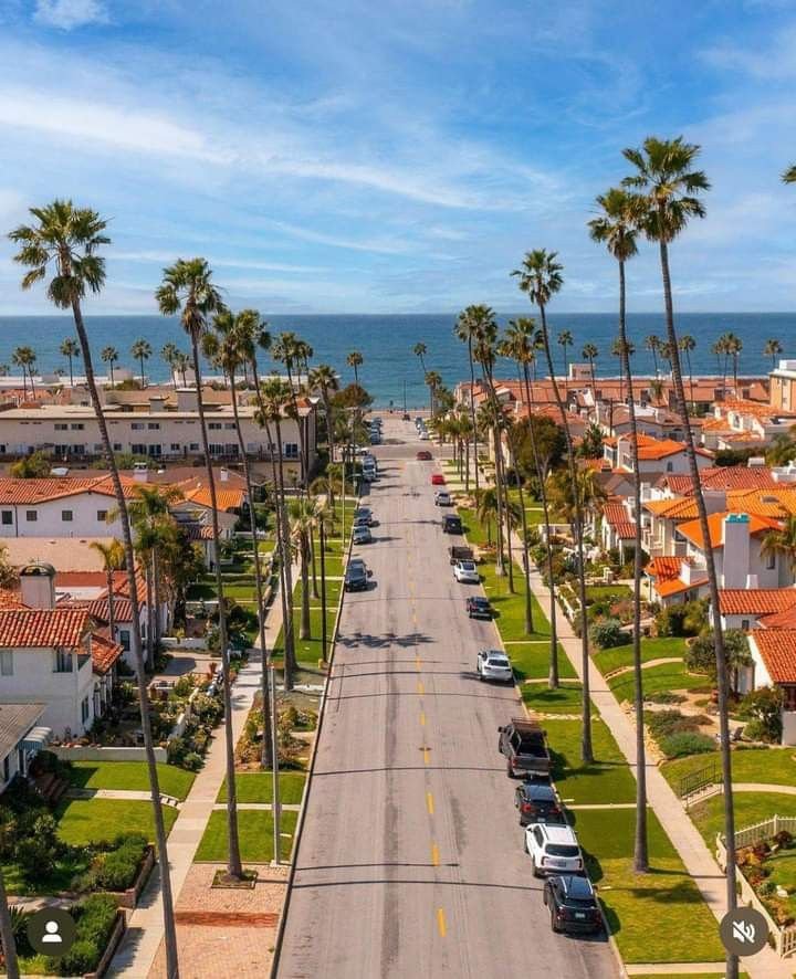 This may contain: a street lined with palm trees and houses next to the ocean on a sunny day