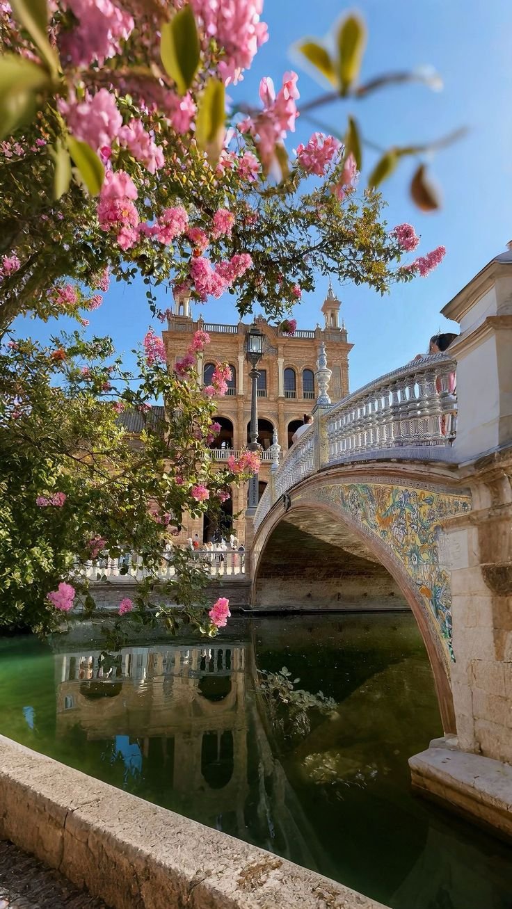 This may contain: pink flowers are blooming on the tree next to a bridge over a small pond
