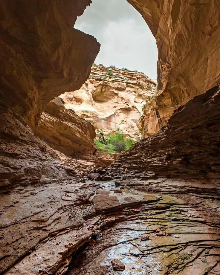 This may contain: a narrow canyon with water running through it