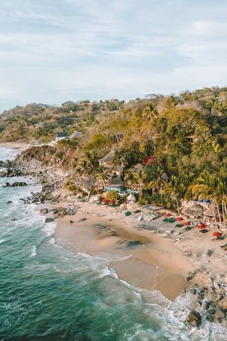 This may contain: an aerial view of the beach and ocean with many umbrellas in the sand, surrounded by palm trees