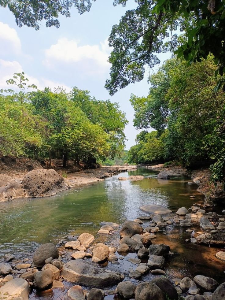 This may contain: a river running through a forest filled with lots of rocks and trees on either side