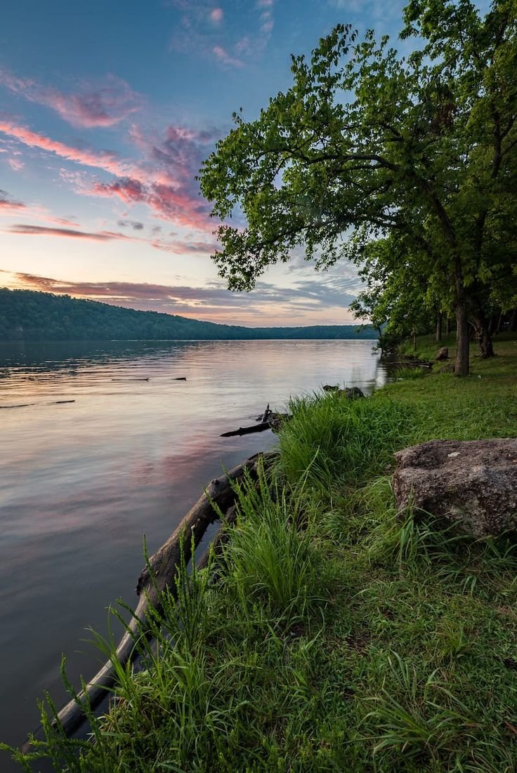 This may contain: the sun is setting over the water and trees are in the foreground, along with some grass on the bank
