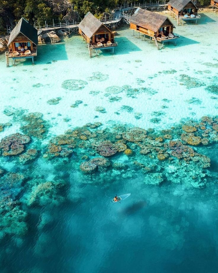 This may contain: an aerial view of the ocean with houses and corals in the water, surrounded by trees