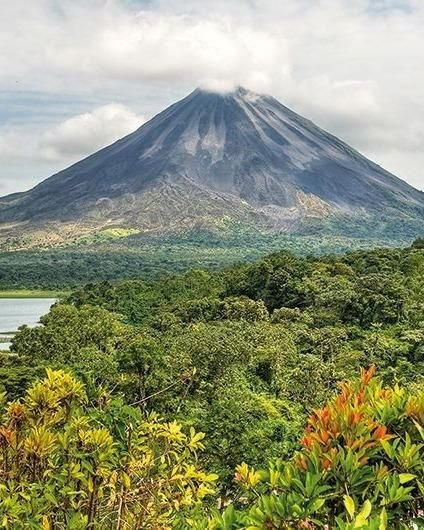 This may contain: a large mountain towering over a lush green forest filled with trees and bushes on top of a lake
