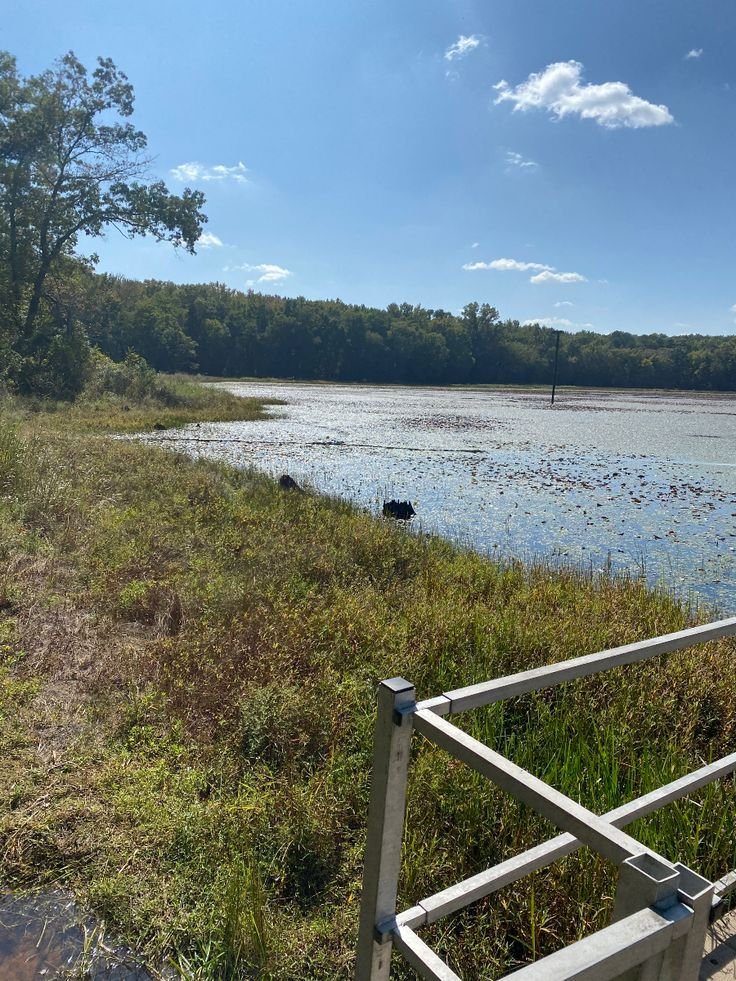 This may contain: there is a small lake in the middle of this field with grass and trees around it