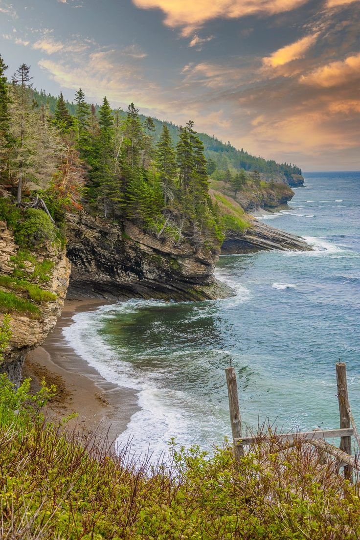 This may contain: an ocean view with trees on the shore