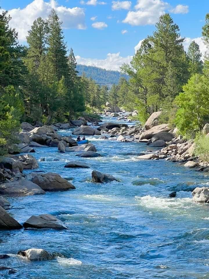 This may contain: a river running through a forest filled with rocks