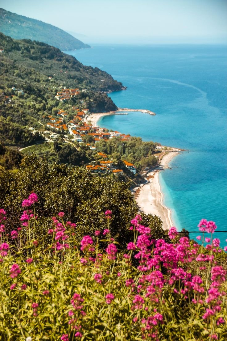 This may contain: pink flowers are in the foreground, and blue water on the far side of the island