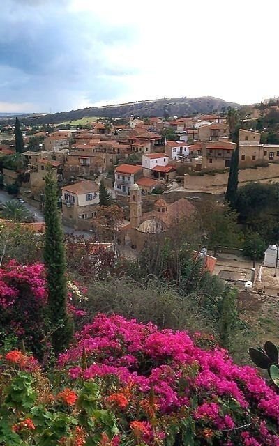 This may contain: the village is surrounded by flowers and trees