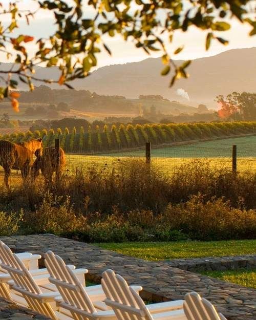 This may contain: two horses standing in the middle of a field next to lawn chairs and a stone walkway