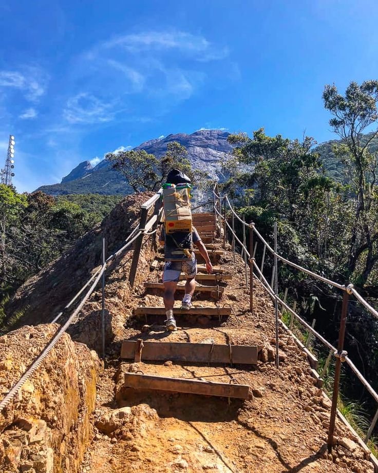 This may contain: a man walking up some stairs in the mountains with his back to the camera,