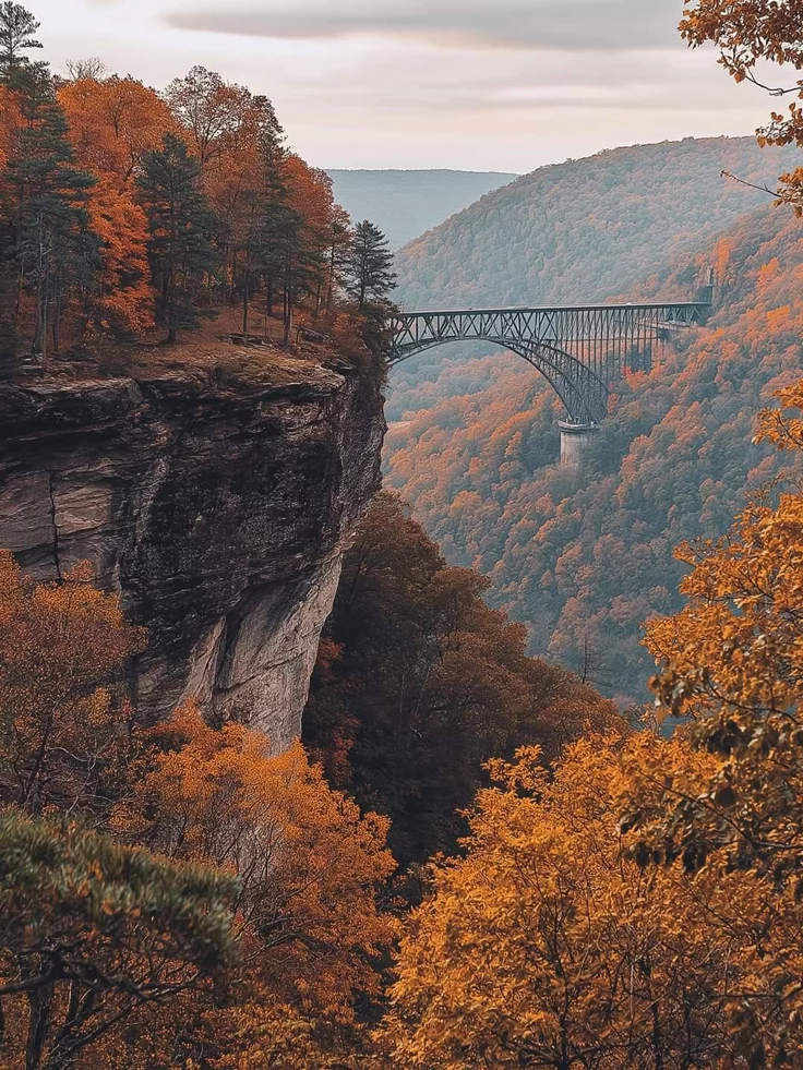 This may contain: a bridge over a canyon in the middle of trees with fall foliage around it and cliffs below