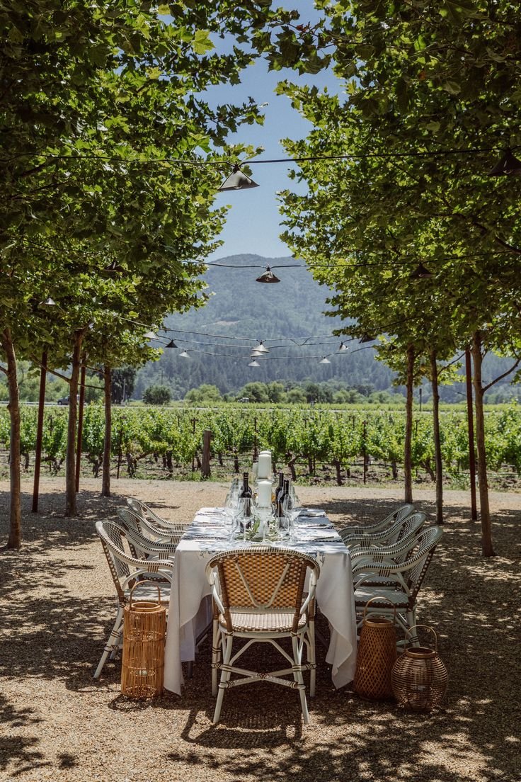 This may contain: an outdoor dining table surrounded by trees in the middle of a vineyard with mountains in the background