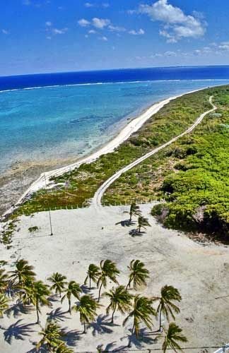 This may contain: an aerial view of the beach and ocean