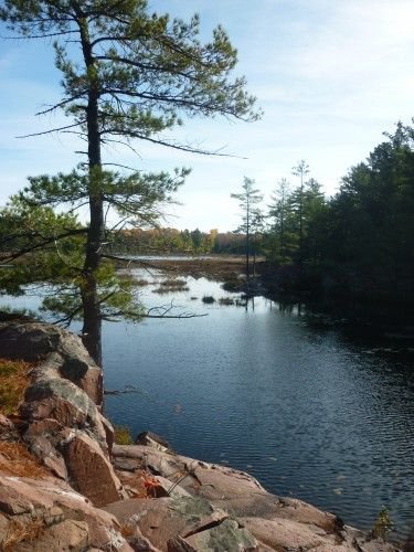 This may contain: a body of water surrounded by rocks and trees