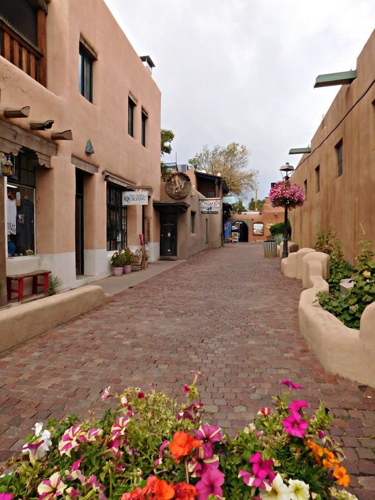 This may contain: an empty street with flowers on the side and buildings in the backgrouds