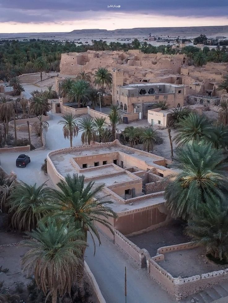 This may contain: an aerial view of a desert village with palm trees and buildings in the background at dusk