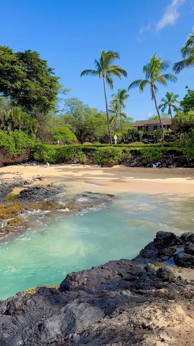 This may contain: the beach is surrounded by palm trees and blue water