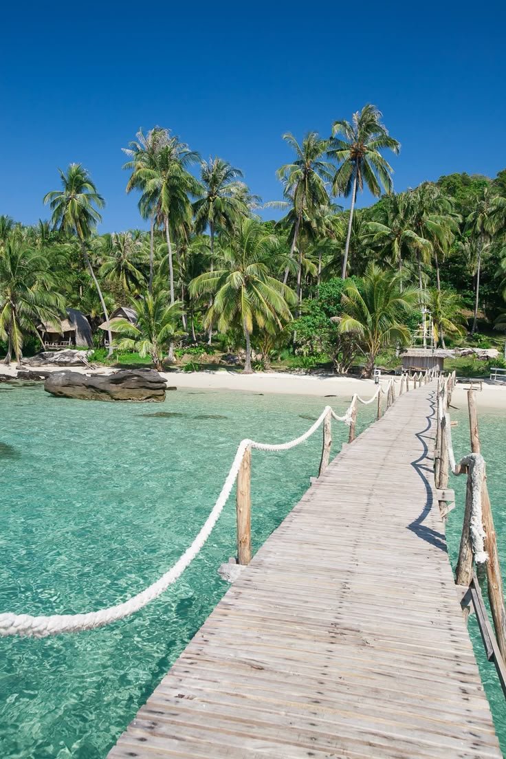 This may contain: a wooden dock leading to the beach with palm trees on both sides and clear blue water