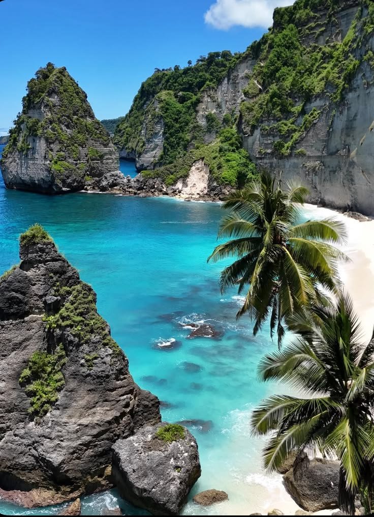 This may contain: the beach is surrounded by large rocks and palm trees, with blue water in the foreground