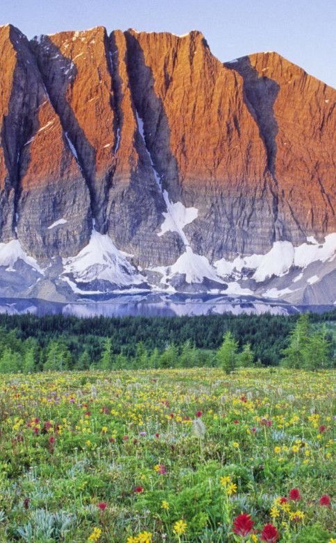 This may contain: the mountains are covered in snow and grass with wildflowers on the foreground