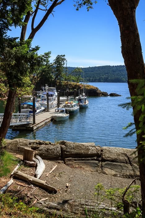 This may contain: boats are docked in the water near some trees