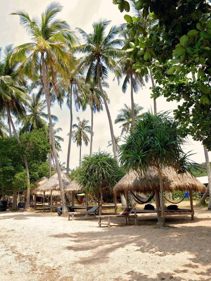This may contain: palm trees and thatched huts on the beach with text koh tonsay rabbit island - cambodia