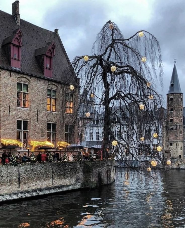 This may contain: a tree with lights hanging from it's branches in front of buildings on the water